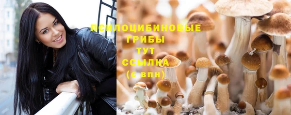 прущие крисы Киренск