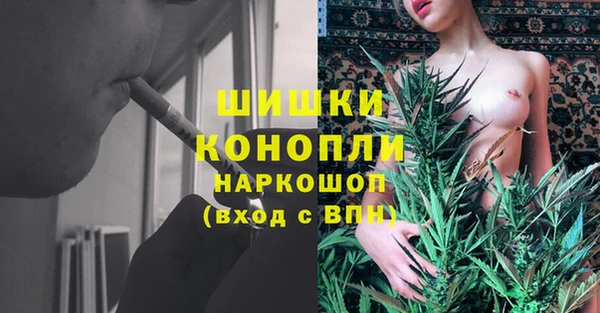прущие крисы Киренск