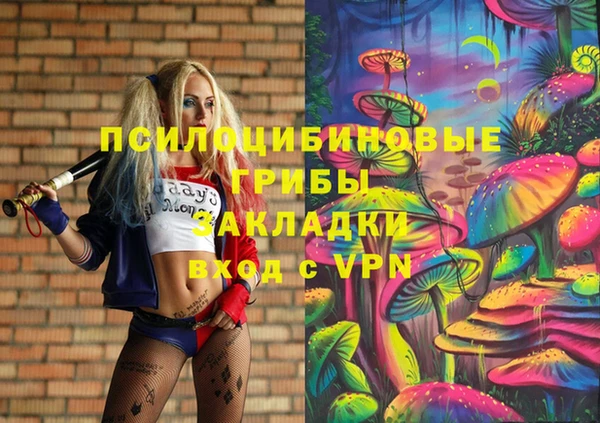 прущие крисы Киренск