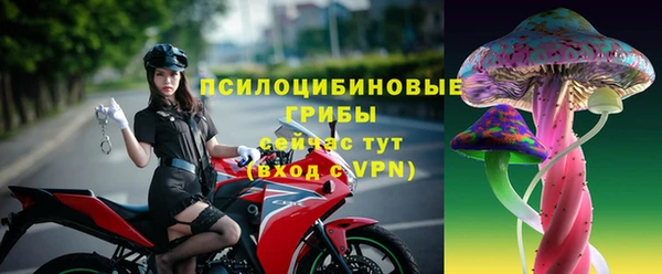 прущие крисы Киренск