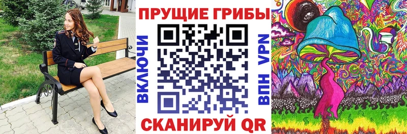 закладка  гидра рабочий сайт  Галлюциногенные грибы Psilocybe  Северск 